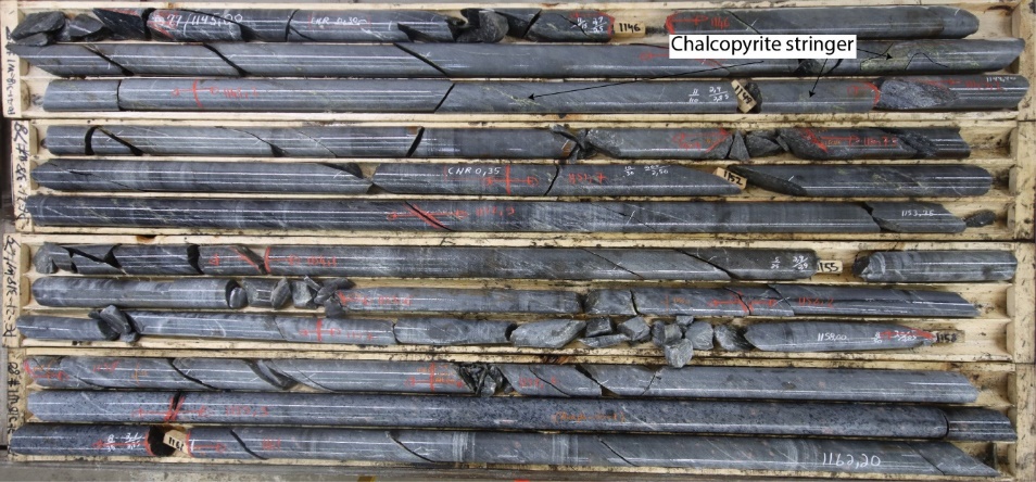 Photo of 210 quartz sulfides vein associated with visible gold VG from hole PE 21 281
